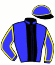 Casaque de GOTTA BE BRILLIANT