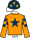 Casaque de PERFECT TRIUMPH