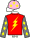 Casaque de THE GOLDEN KNIGHT