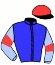 Casaque de WINNING CHAMPION
