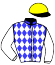 Casaque de WORLD TWO TIMES