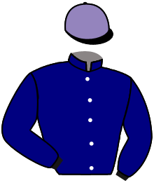 Casaque de MAJESTIC GLORY