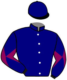 Casaque de DERBY DE TENDRON