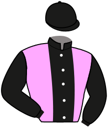 Casaque de AMERICAN FLAG