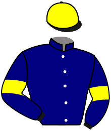 Casaque de COCKTAIL DRESS