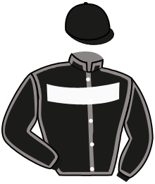 Casaque de GOOGOO CASINO