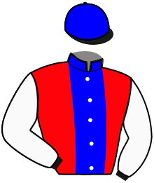 Casaque de JEANNE D'ANJOU