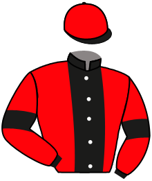 Casaque de DIFFLY RIVER ANN