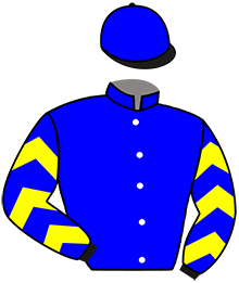 Casaque de ICARUS BOURBON