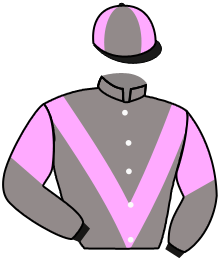 Casaque de GUNS AND ROSES