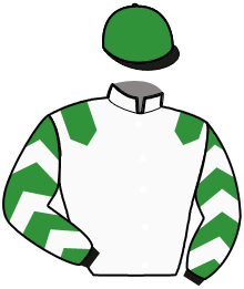 Casaque de ILLUSIVE GLORY