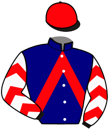 Casaque de HIRONDELLE FEE