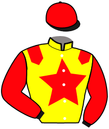 Casaque de HIP HOP D'EURVAD