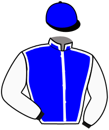 Casaque de INTERNAUTE