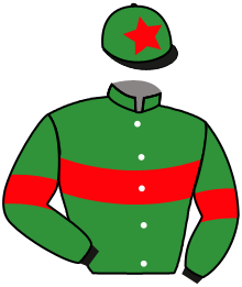 Casaque de SKIPPIN COURT