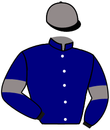 Casaque de LE MERLOT