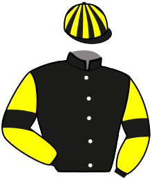 Casaque de ORLANDO VIVA