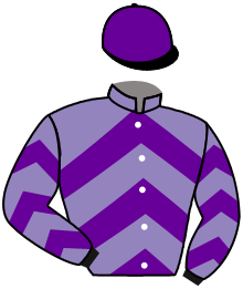 Casaque de WINGSUITER