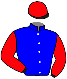 Casaque de HOLP UP SAUTREUIL