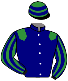 Casaque de CIVIC SPIRIT