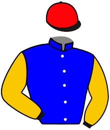 Casaque de SIMCA MILLE