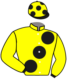 Casaque de INISHERIN