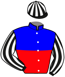 Casaque de LETS GO UP