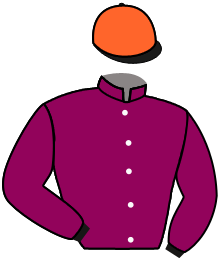 Casaque de SIERRO DINO