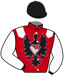 Casaque de ROSETTA STONE