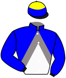 Casaque de GREEN GATE