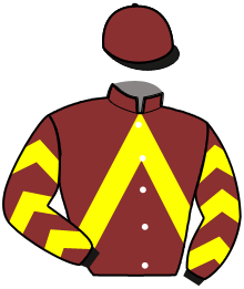 Casaque de GOLDEN VIKING