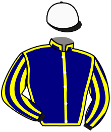 Casaque de INDIE BRIGHT