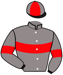 Casaque de GAMAY DES CROUAS