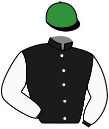 Casaque de BEATRIX LESTRANGE