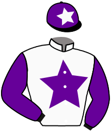 Casaque de SIR BECQUAILLE