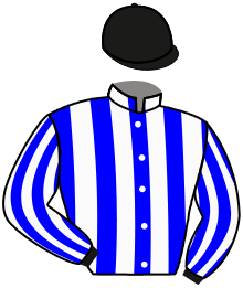 Casaque de JEU DU DESTIN