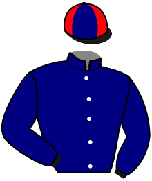 Casaque de LIBERTE CITY