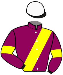 Casaque de ILLICO DES BAUX