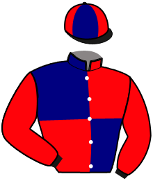 Casaque de HOLKA DU LYS