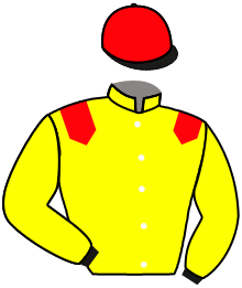 Casaque de UNE PEINTURE