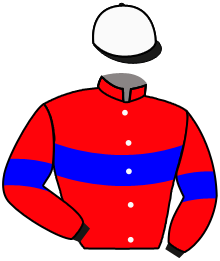 Casaque de IPOP VILLE