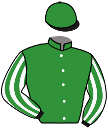 Casaque de GOLDYWAY DE SAON