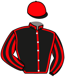 Casaque de THE LIKELY LAD