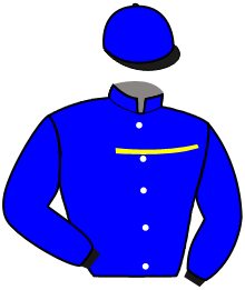 Casaque de NELSON GREENWOOD