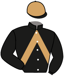 Casaque de JACOMO DANICA