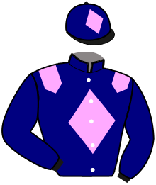 Casaque de ANALYTICS