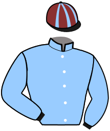 Casaque de HAMBLETONIAN