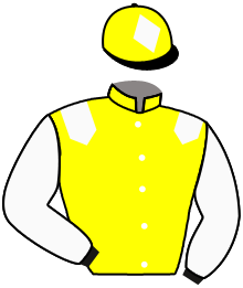 Casaque de SAGE DREAM