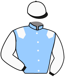 Casaque de GREY TORNADO