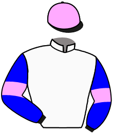 Casaque de STOP THE CAVALRY